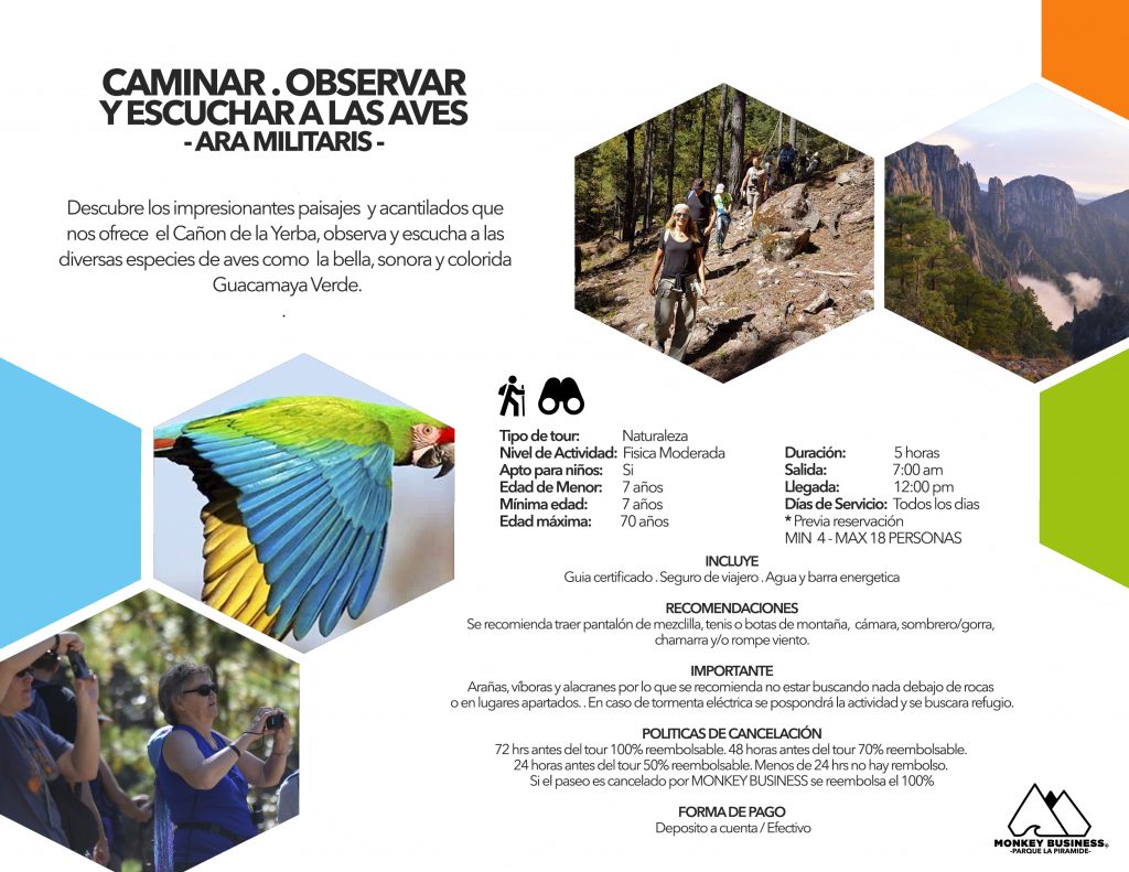 CAMINAR . OBSERVAR Y ESCUCHAR A LAS AVES